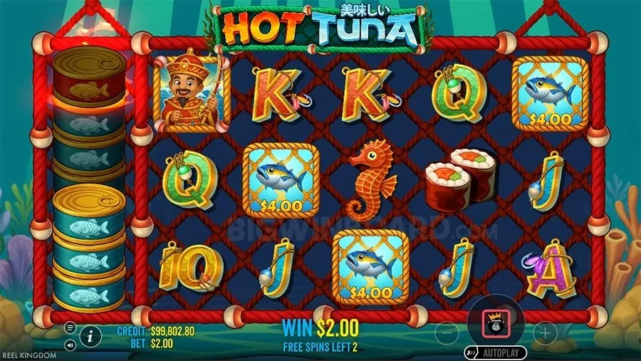 Live Dealer Casino Games